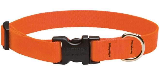 Lupine Adjustable Nylon Dog Collar - Solid Colors - Image 2