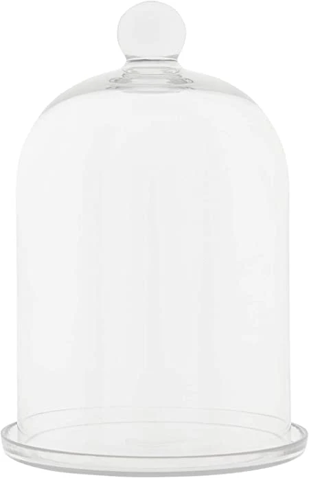 Clear Round Glass Cloche w/ Plate - 12.25"