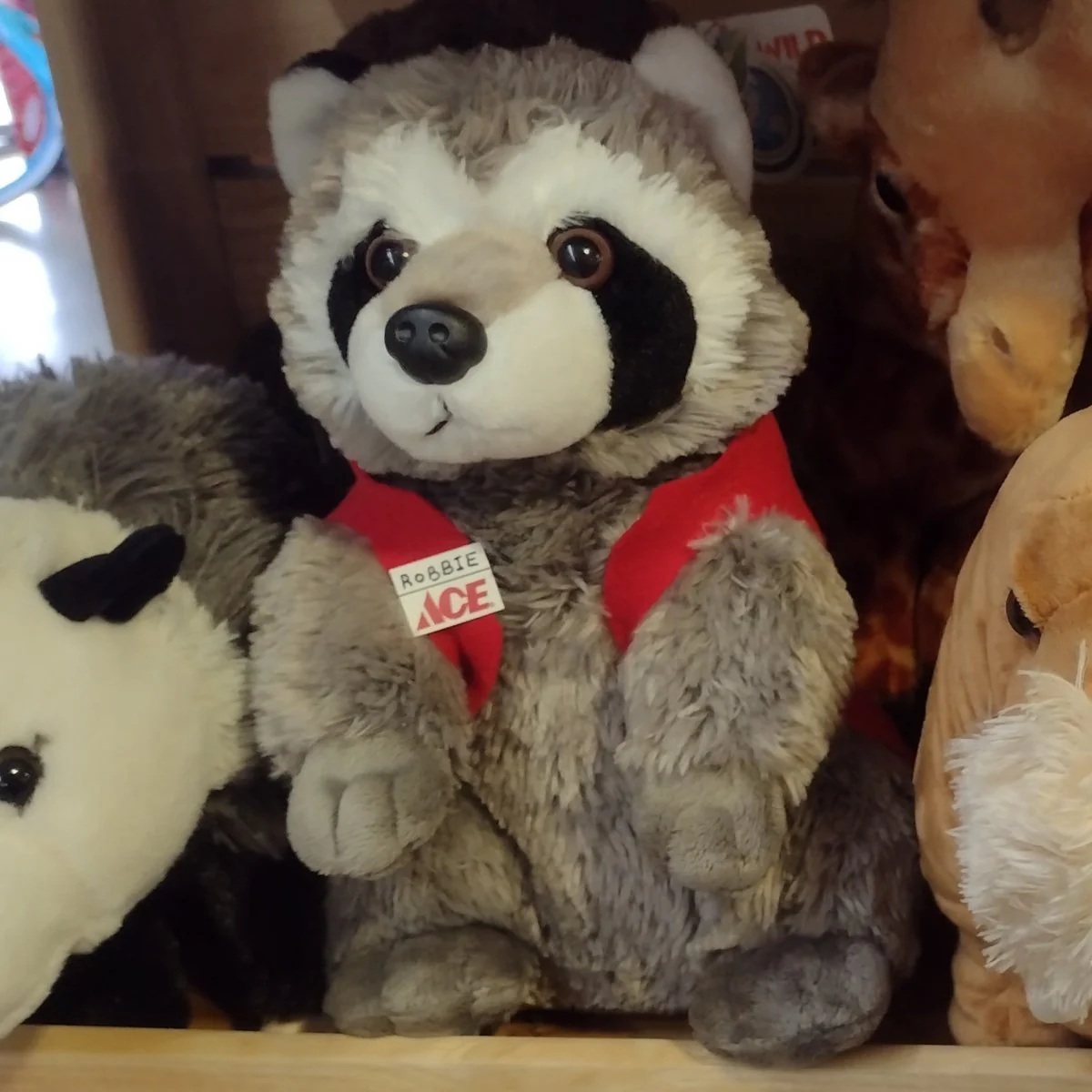Cuddlekins Plush Raccoon - 12" - Image 2