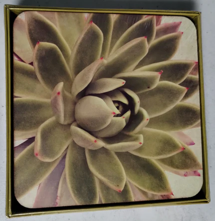 RockFlowerPaper  Artful Coasters (Square) - 4 pc. - Image 6